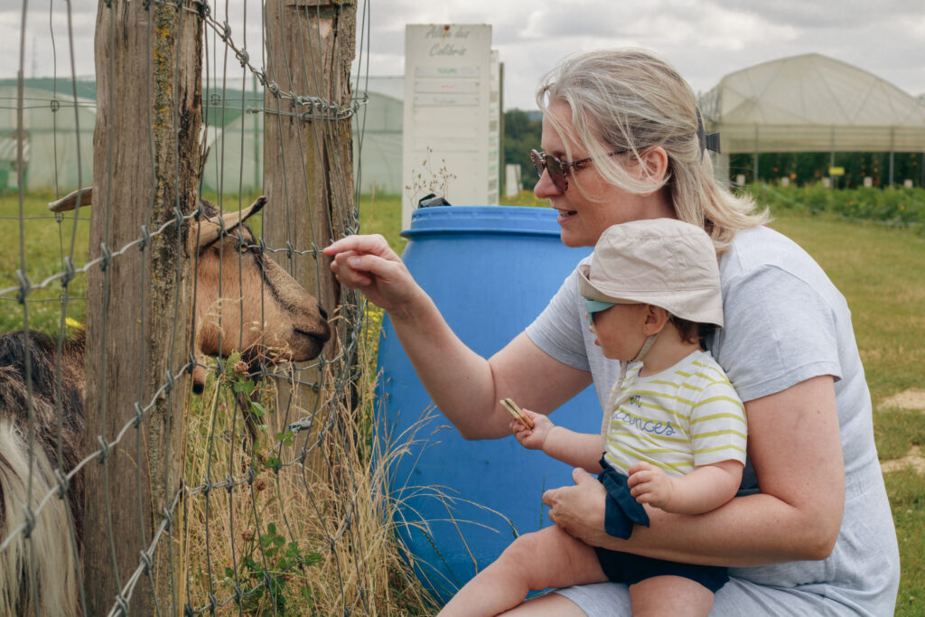 photographie famille auxerre