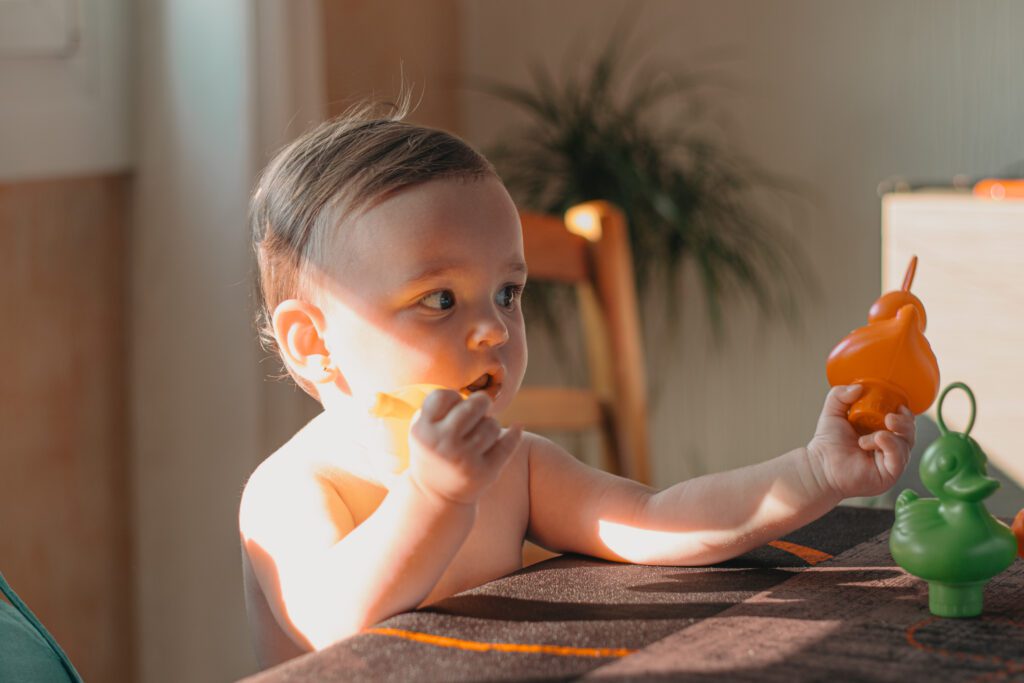 séance photo bébés. Auxerre.