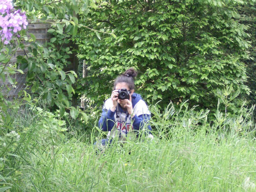 photographie r prise lors d'une activité d'été