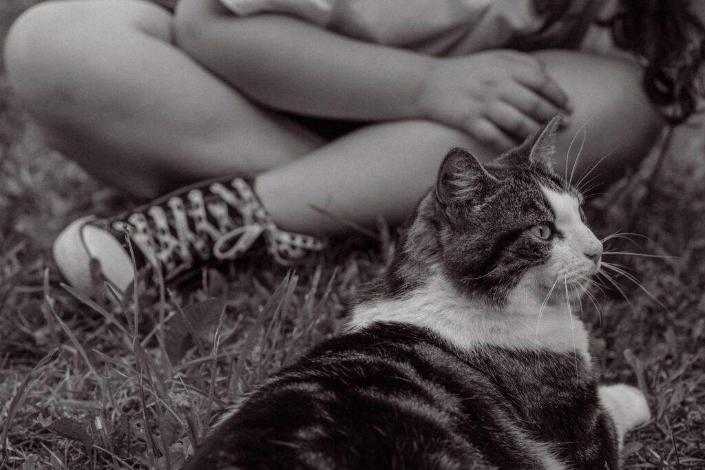 Petite fille et chat assis dans l’herbe, photographiés de loin, partageant un moment calme en pleine nature à Venoy près d'Auxerre dans l’Yonne