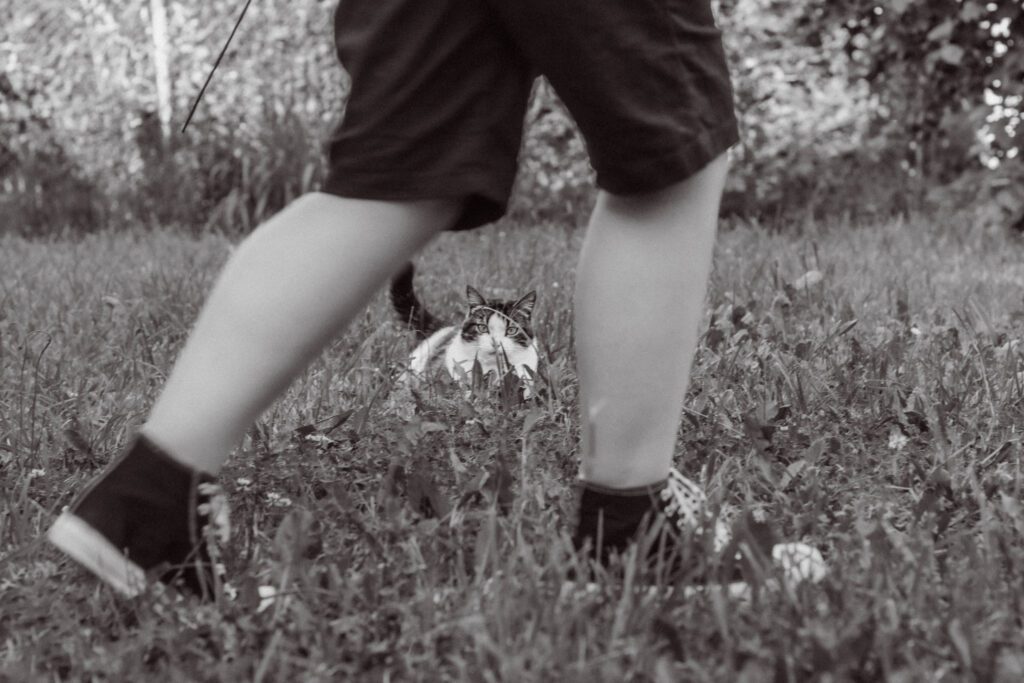 Chat photographié au ras de l’herbe dans un jardin de l’Yonne, cadré entre les jambes d’une petite fille en train de marcher devant lui. photographe Auxerre.