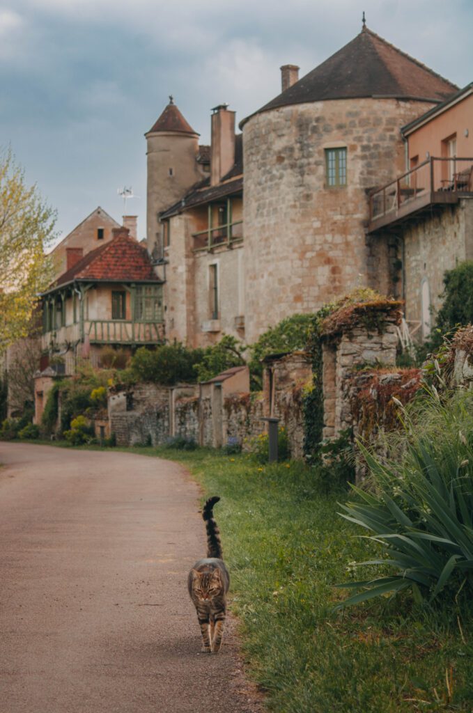 joli petite ruelle longeant le serein à Noyers sur serein lors d'une séance photo.