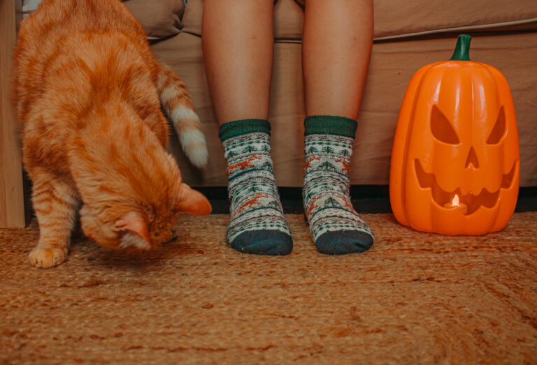 Chaussette cosy pour un automne tout doux dans l'yonne.