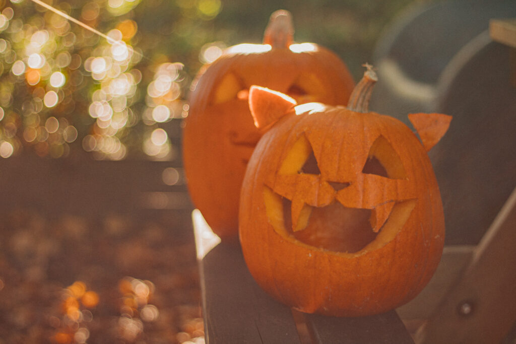 Jolies citrouille d'halloween: séance photo d'Automne dans l'yonne.