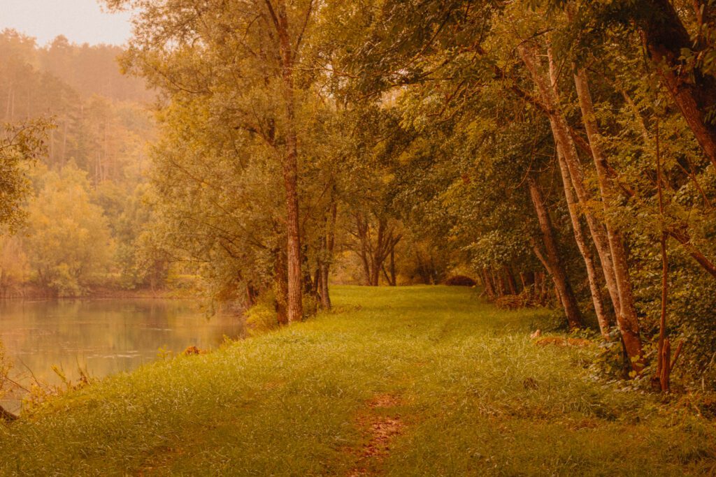 Paysage automnal avec arbres aux couleurs chaudes, ambiance automne cosy en Bourgogne