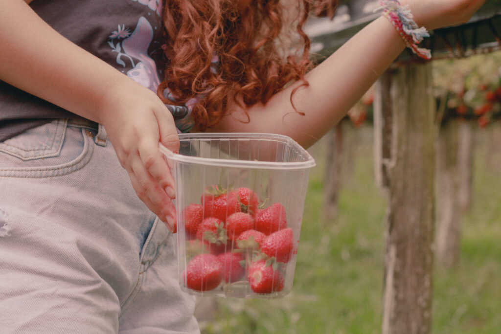 barquette de fraises directement a la cueillette, petite joie du mois de Mai.