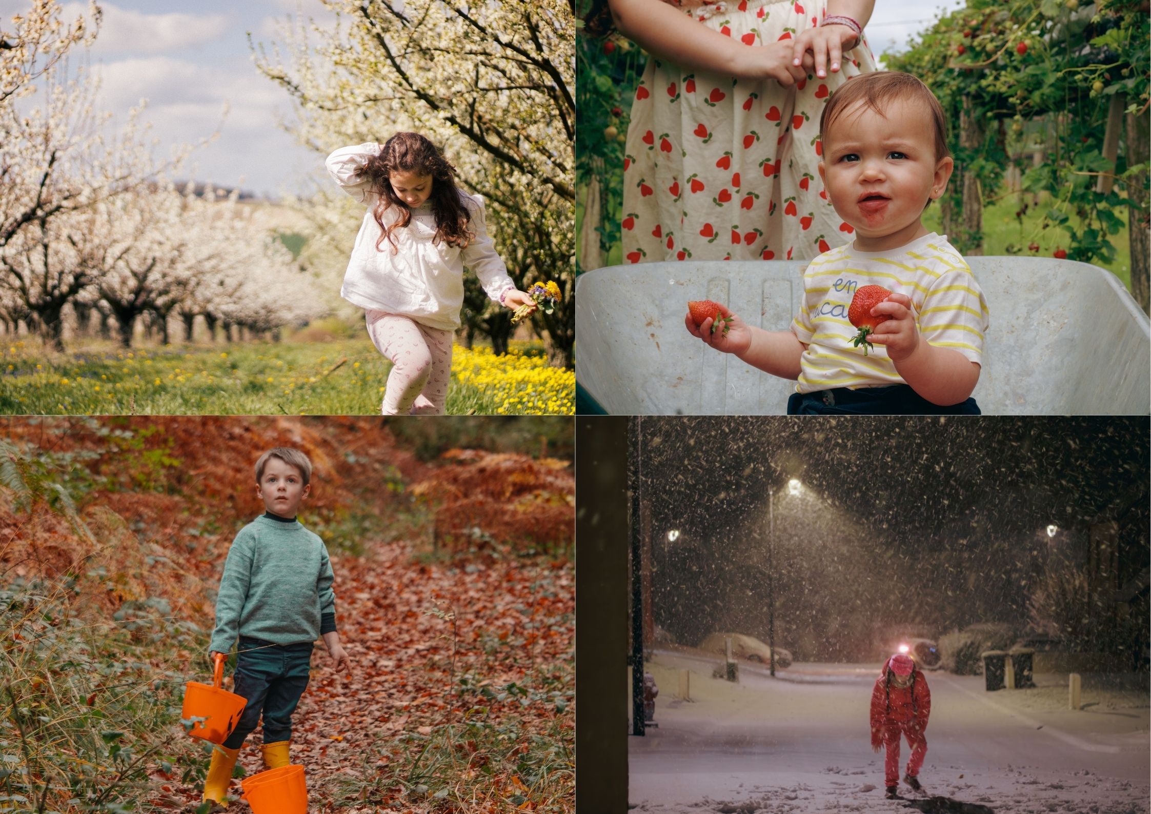 Lire la suite à propos de l’article Quelle est la meilleure saison pour une séance photo famille à Auxerre?